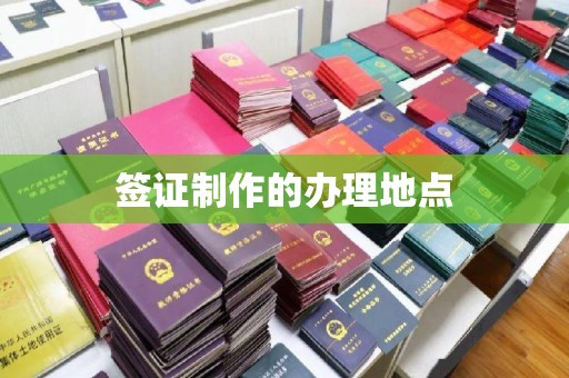 子长签证制作的办理地点